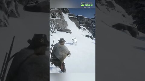 Trying to catch the rarest horse in Red Dead…