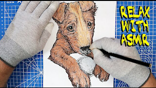 Relax With The Cutest Puppy Coloring ASMR