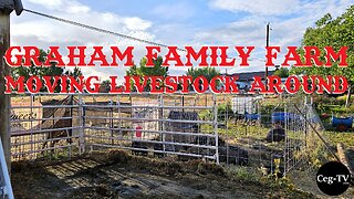 Graham Family Farm: Moving Livestock Around