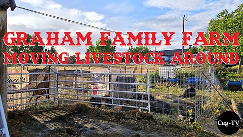 Graham Family Farm: Moving Livestock Around