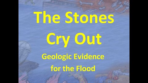 The Stones Cry Out - Geological Evidence for the Flood