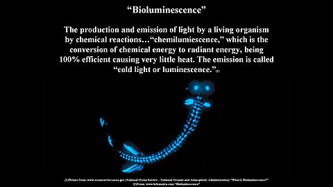 Bioluminescence (Leviathan Part#4)