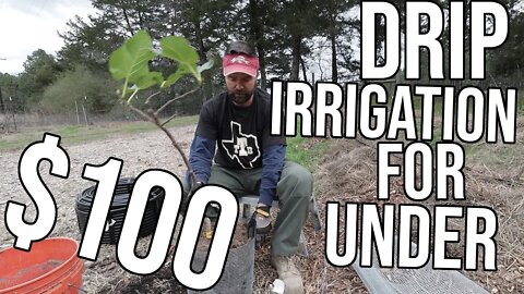 Drip Irrigation For Under $100/ How to Make Gopher Baskets/ Super Funny!