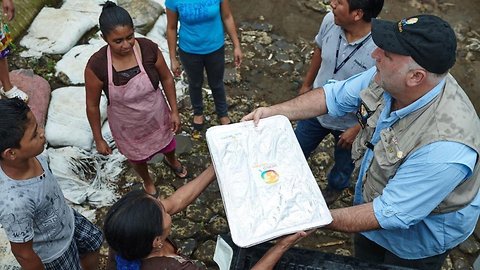 Local Ingredients Are Key To Chef José Andrés' Disaster Relief Meals