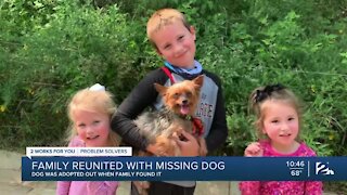 Family reunited with dog after weeks of uncertainty