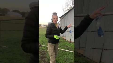 Jenny vs Rodents 🧤👀🌿#shorts #viral #trending #tiktok