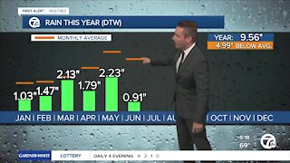 Metro Detroit experiencing moderate drought with average rainfall down about 5" this year