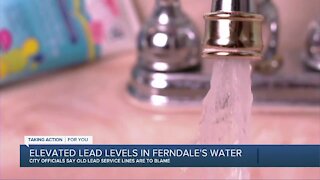 Elevated lead levels in Ferndale's water
