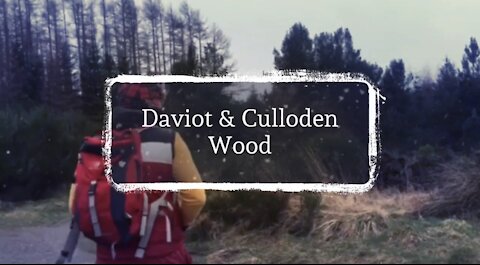 Daviot & Culloden mystery wood