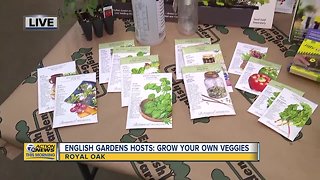 Grow Your Own Veggies