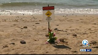 Shark attack kills man swimming off Maui, authorities say