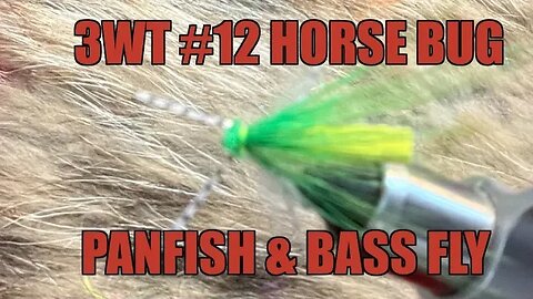 #12 Horse Fly Bug fly tying instructions