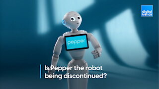 Pepper the robot