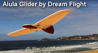 Alula RC Glider