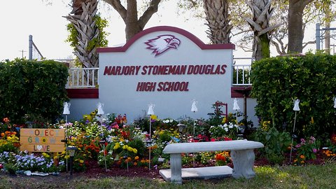 Parkland: One Year Later — A Newsy Special Report