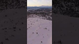 Aerial video of snowy forest #shorts