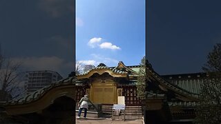 The Japan No One Knows. Ueno Toshogu Shrine #shorts