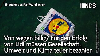 Von wegen billig? Für den Erfolg von Lidl müssen Gesellschaft, Umwelt und Klima teuer bezahlen | NDS