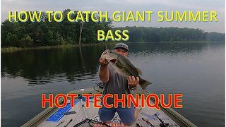 HOT!! Technique to Catch GIANT Summer Bass!