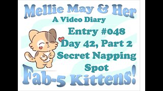 Video Diary Entry 048: Day 42 Part 2 - Secret Napping Site And Blanket Of Kittens