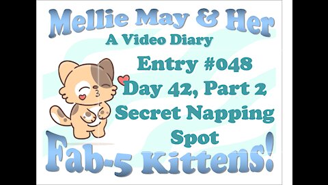 Video Diary Entry 048: Day 42 Part 2 - Secret Napping Site And Blanket Of Kittens