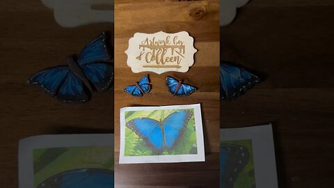 Common morpho butterfly @ArtworkByColleen pick your fave