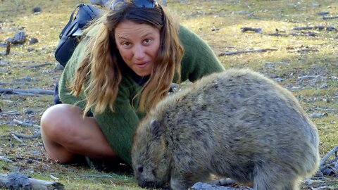 Bit by a WOMBAT! - Free Range Sailing Ep 129