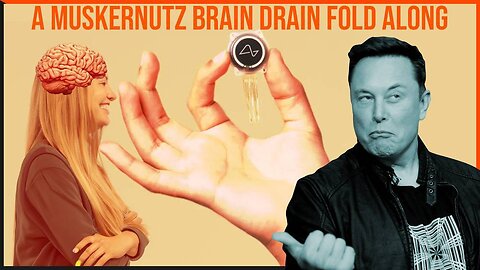 The Musk Brain Drain Fold Along