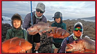 CATCHING FISH you ACTUALLY NEED A BOAT FOR FROM THE SHORE! Crystal CLEAR DRONE FOOTAGE!