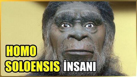 Solo Vadisi İnsanı Homo soloensis