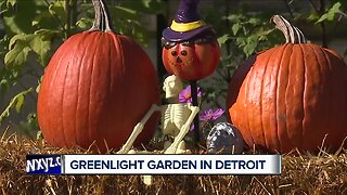 Special garden space in Detroit's Warrendale neighborhood welcomes Green Light cameras