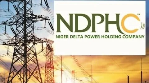 Nigeria Governors’ Forum Reject Sale Of Power Plants, Sue Federal Government.