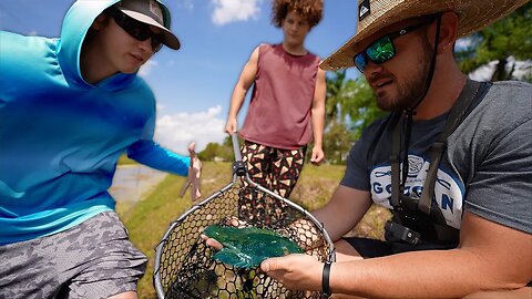 Catching Ultra Rare Miami Canal Fish! (Burn The Ships ep. 2)