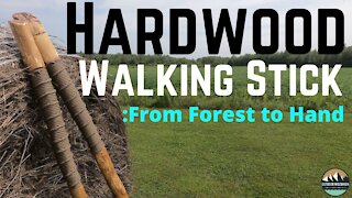 Handcrafted Hardwood Walking Sticks - Full Process From Tree To Product