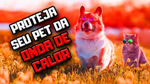 ONDA DE CALOR: como proteger seu Cachorro e Gato | Dr. Edgard Gomes | Alimentação natural para Cães