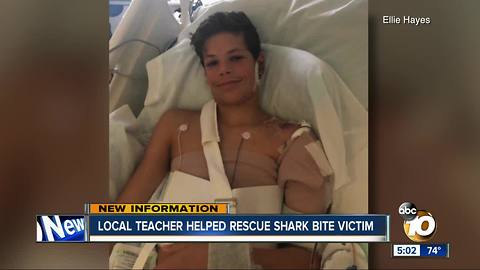 Local teacher helped rescue shark bite victim