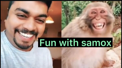 Troll Prank Dog Funny & fake Lion and Fake Tiger Prank To dog & Huge Box Prank to dog😂🤣😭