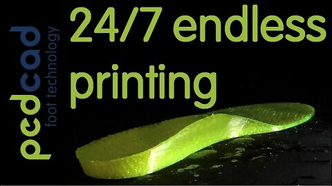 24/7 endless printing - ped3D FLX+