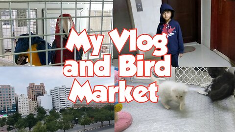 My Vlog and Bird Market| My Routine in UAE Sharjah | Tuba Durrani C&M