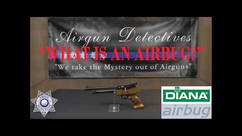 Diana Airbug CO2 Pistol "Full Review" by Airgun Detectives