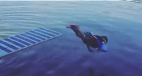 Diving fail: Little boy belly flops in a river