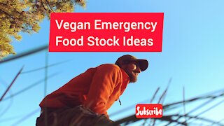 Vegan Emergency Food Stock Ideas