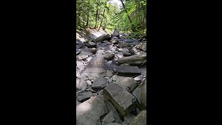 skipping rocks