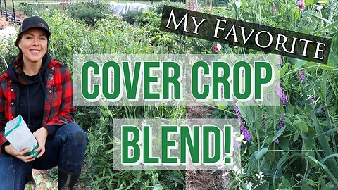 The Best Cool Season Cover Crop Blend!