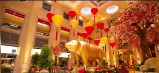 Lunar New Year events and displays around Las Vegas
