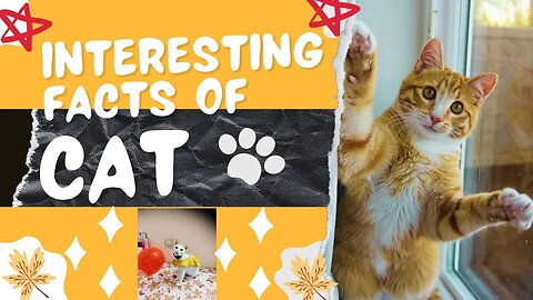 Unbelievable Facts About Cats and Persian Cats - You'll NEVER Guess #7!