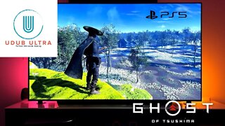 Ghost of Tsushima Director's Cut POV | Performance Mode 4k 65" LG OLED C1 | Playstation 5 | Gameplay