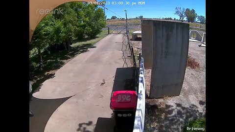 Strong gust of wind hits driveway