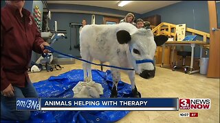 Animals Helping with Therapy