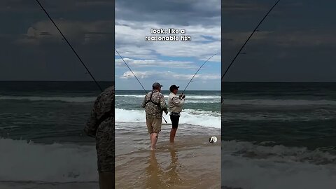 A great tactic for catching bream off the beach! #beachfishing #fishingguide